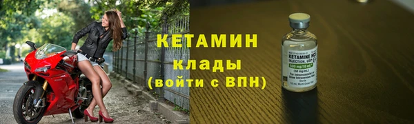 стаф Зерноград