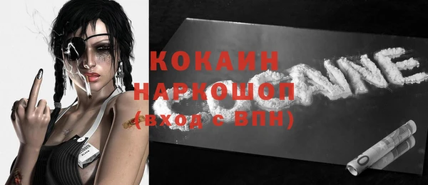 стаф Зерноград