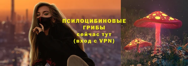 стаф Зерноград