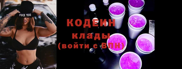 стаф Зерноград
