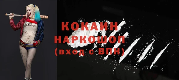 стаф Зерноград