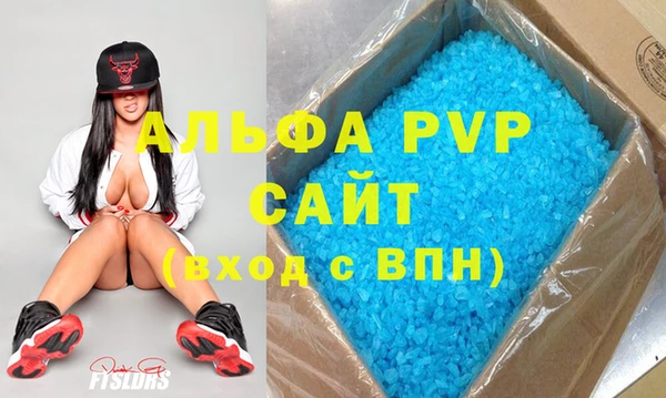 стаф Зерноград